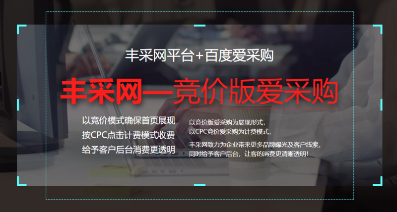 丰采网爱采购竞价版